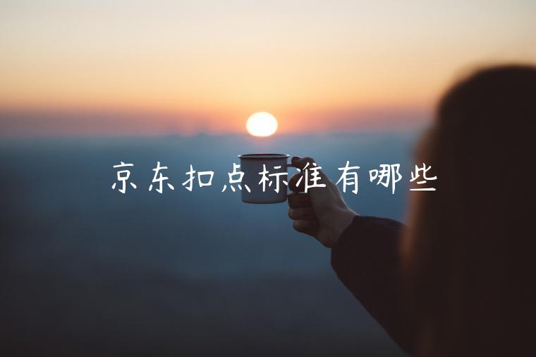 京東扣點標(biāo)準(zhǔn)有哪些